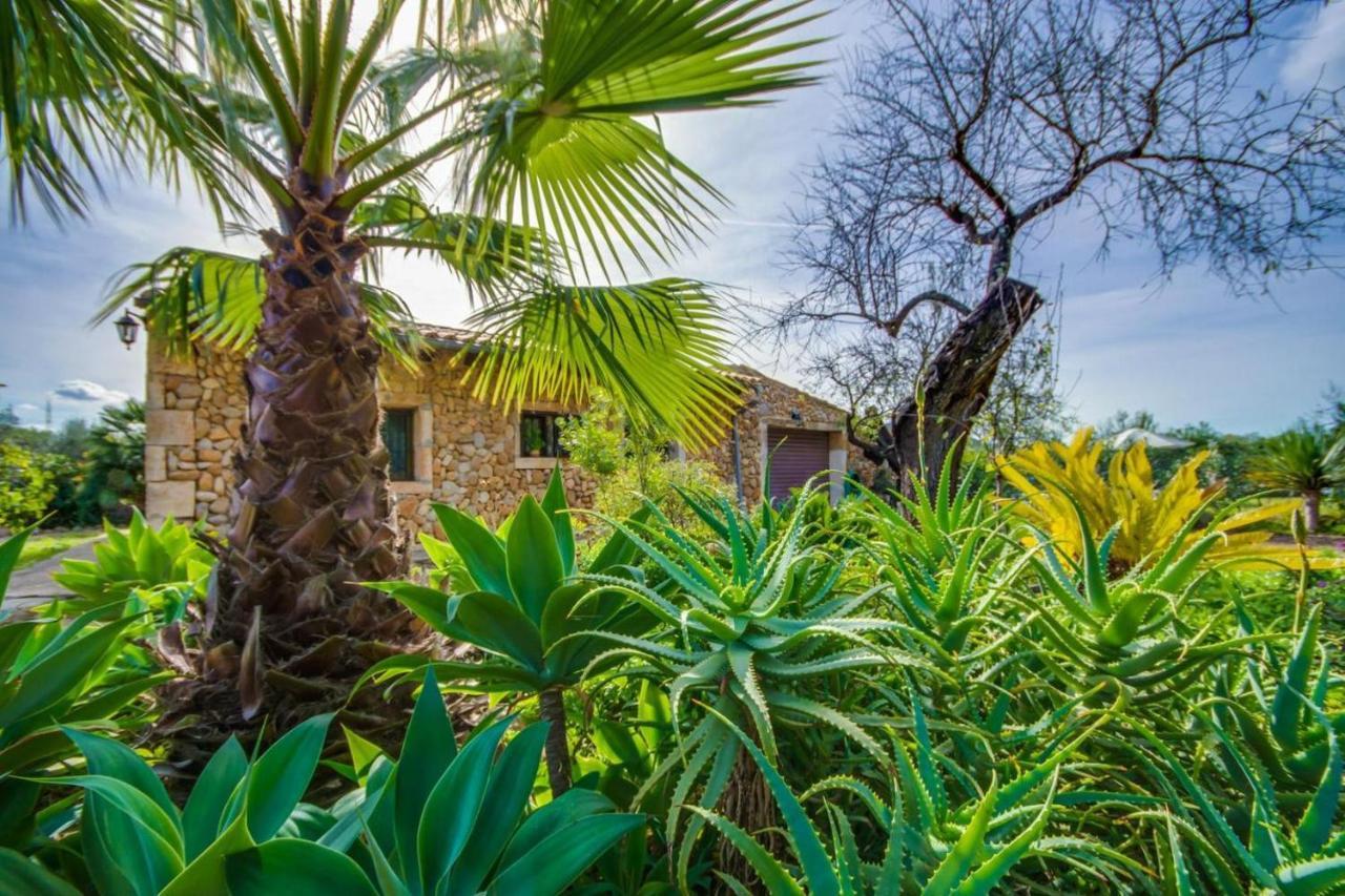 Ideal Mallorca - Lina - Sa Figuera Blanca Landhaus *